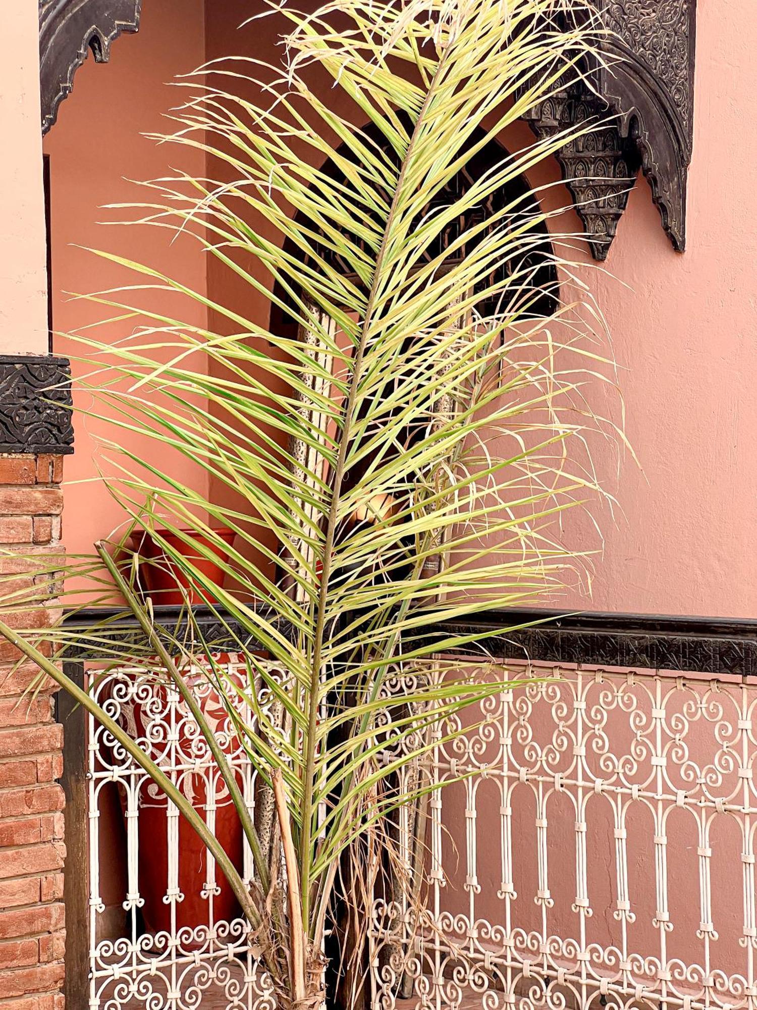 Riad Musa Marakeş Oda fotoğraf